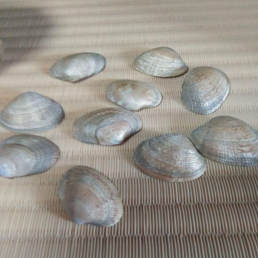 雛道具　雛飾り　貝桶貝殻つき