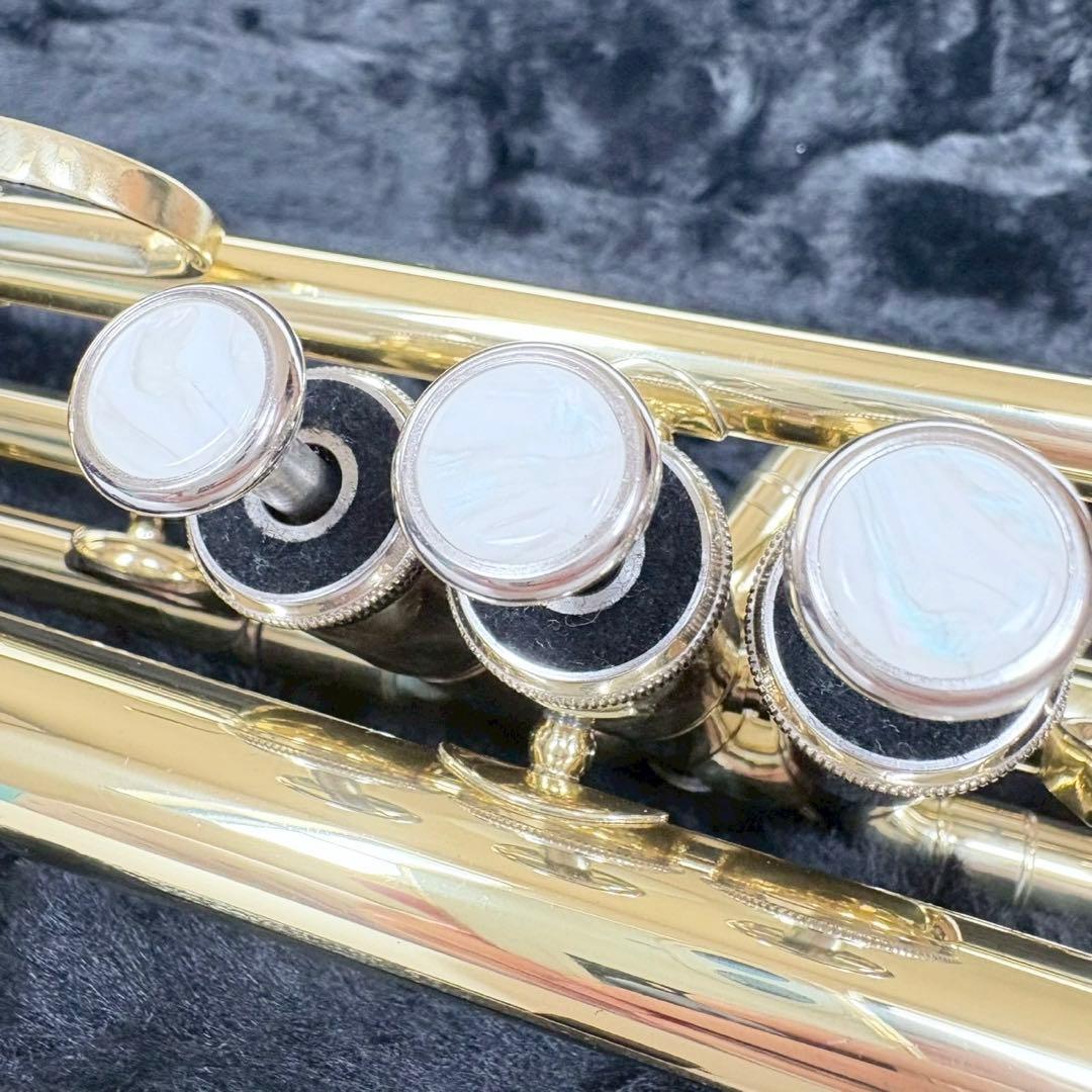 Palace Universe トランペット 管楽器 初心者 練習用 入門