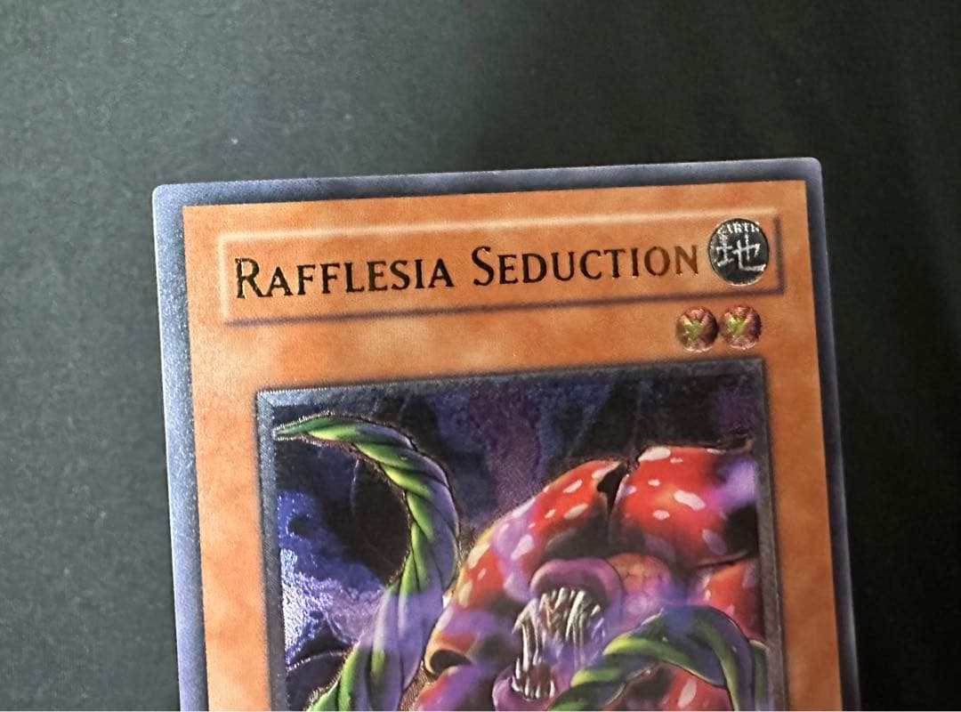 幻惑のラフレシア　アジア　レリーフ　美品