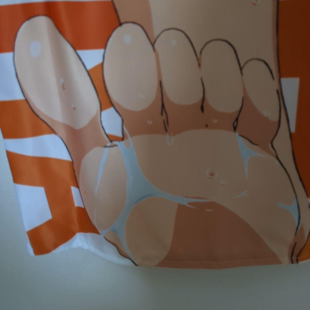 涼宮ハルヒの憂鬱　抱き枕カバー　ニュータイプ　25周年記念　イベント