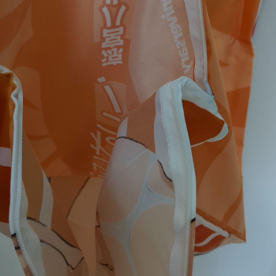 涼宮ハルヒの憂鬱　抱き枕カバー　ニュータイプ　25周年記念　イベント