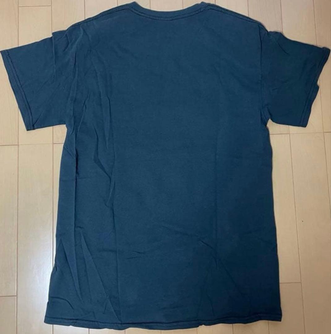 THE BONEZ Damaged Skull Tee 骸骨 Tシャツ