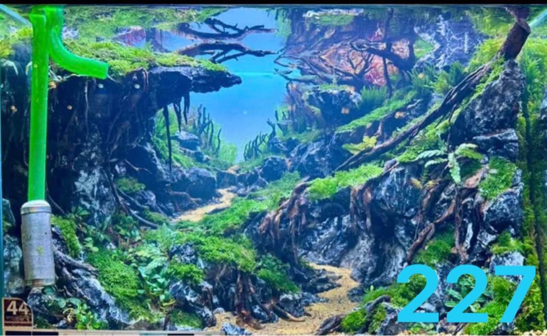 盆栽流木 水草用の 流木。流木アクアリウム パルダリウム マシンガン