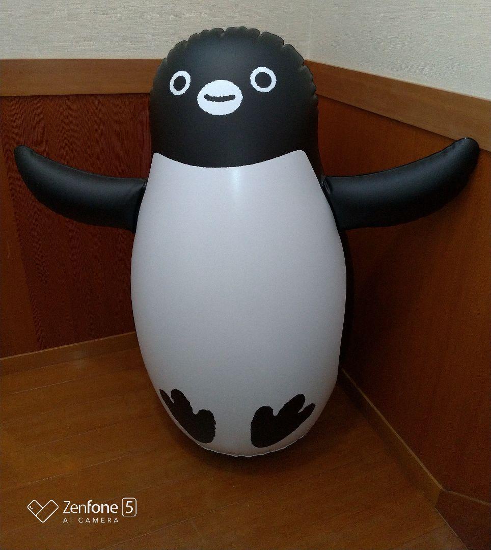 販売済み まめゴマ いちごま 激レア