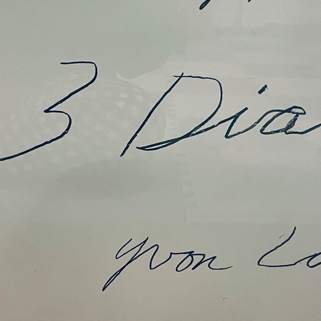 新品正規品 サイ・トゥオンブリー Cy Twombly1977 特注額装ポスター