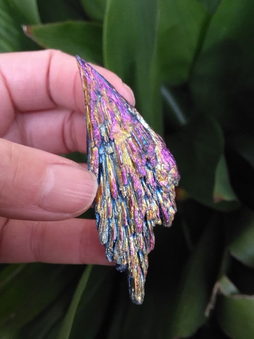 超希少❇龍神と対❇️鳳凰⭐四神⭐四神獣⭐