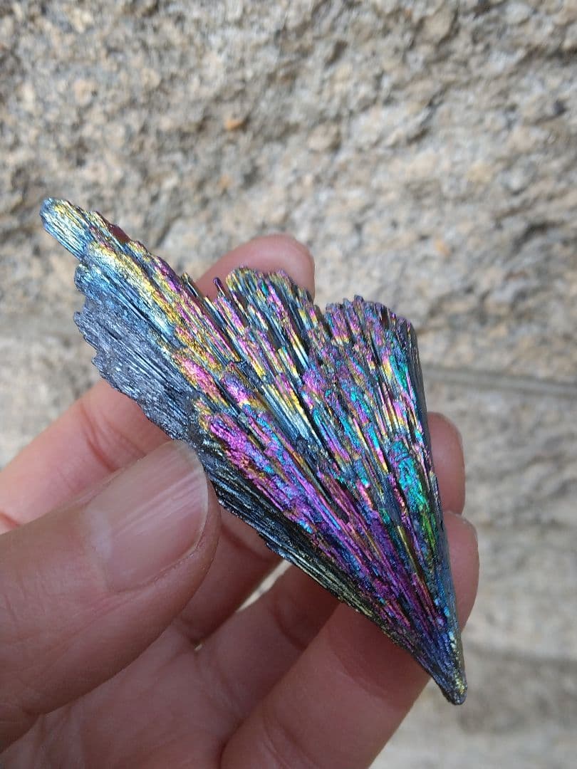 超希少❇龍神と対❇️鳳凰⭐四神⭐四神獣⭐