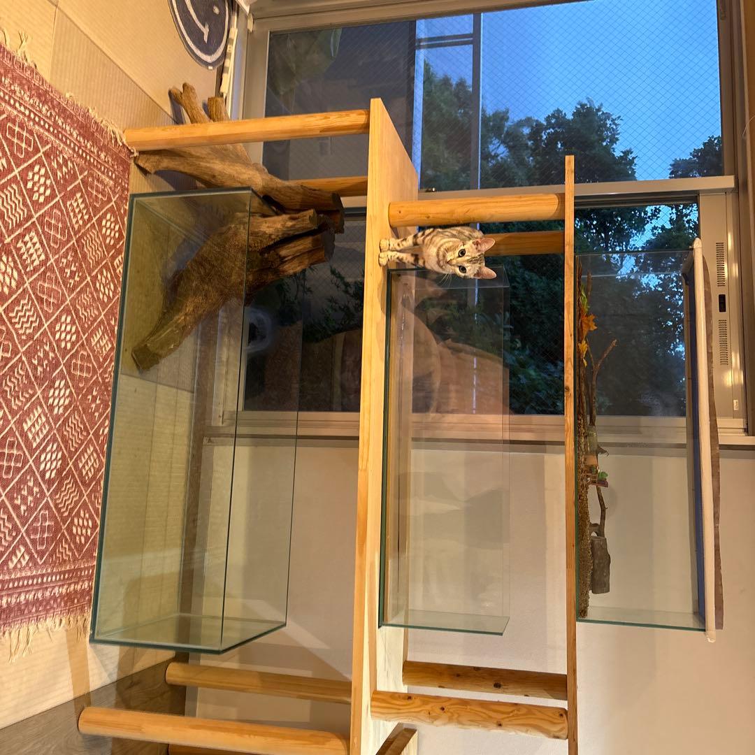 走*剣様 ガラス水槽120✖️45✖️35 と ガラス90 22 30