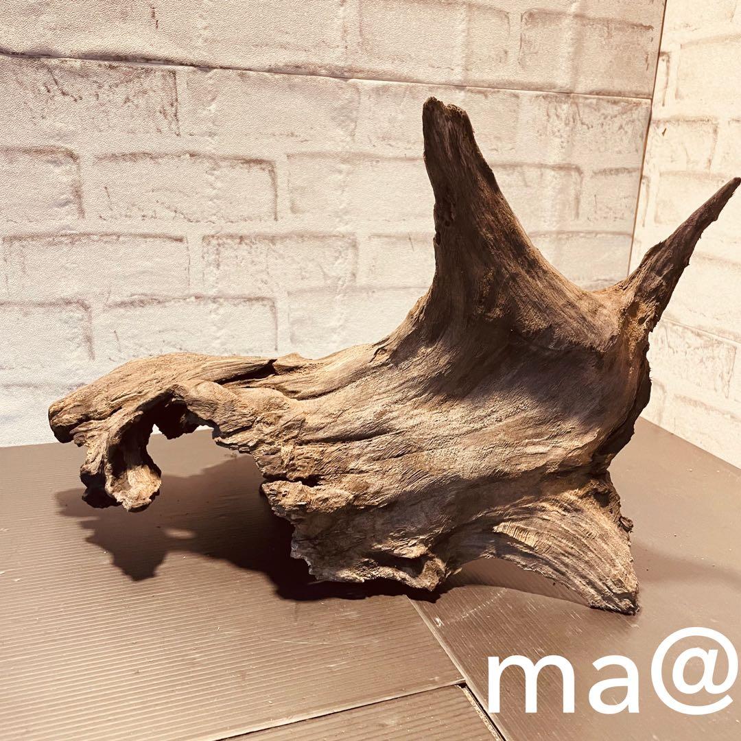 MDW-5744 ブランチウッド(ブラック) 2本セット流木 アクアリウム 水草