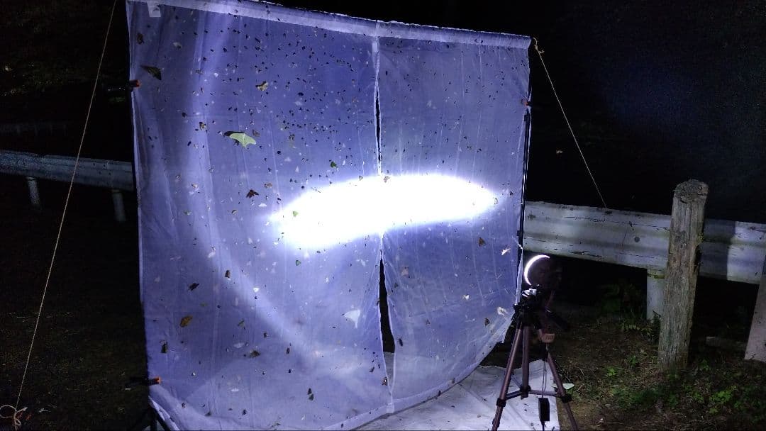 HIDライトトラップお作りします☆紫外線放出加工済☆連絡用