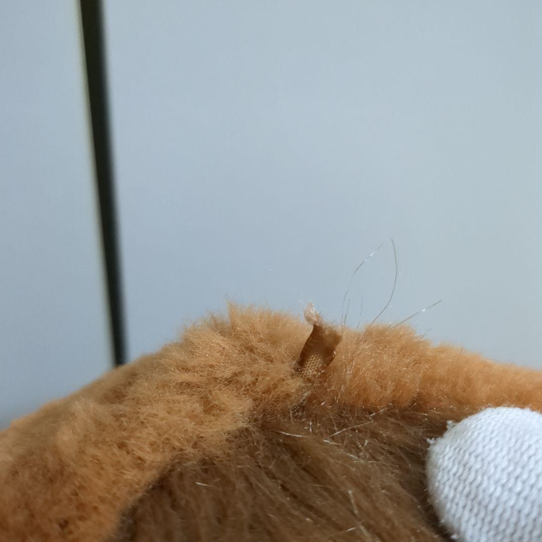 ファーリアル　こぐまのカビー