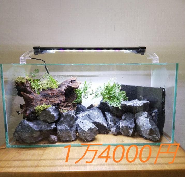 オーダーメイド】滝のあるアクアテラリウム 苔テラリウム アクアリウム