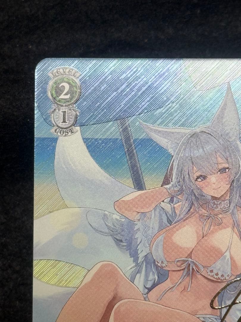 【マグネットローダー付き】航空母艦　信濃　SP