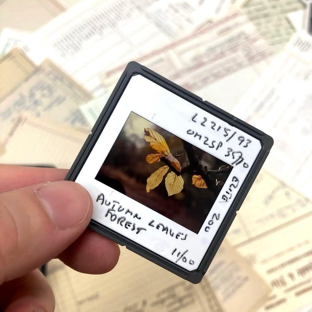 ジャンクジャーナル アソート 詰め合わせ ミックス 1.9kg以上 素材 大量