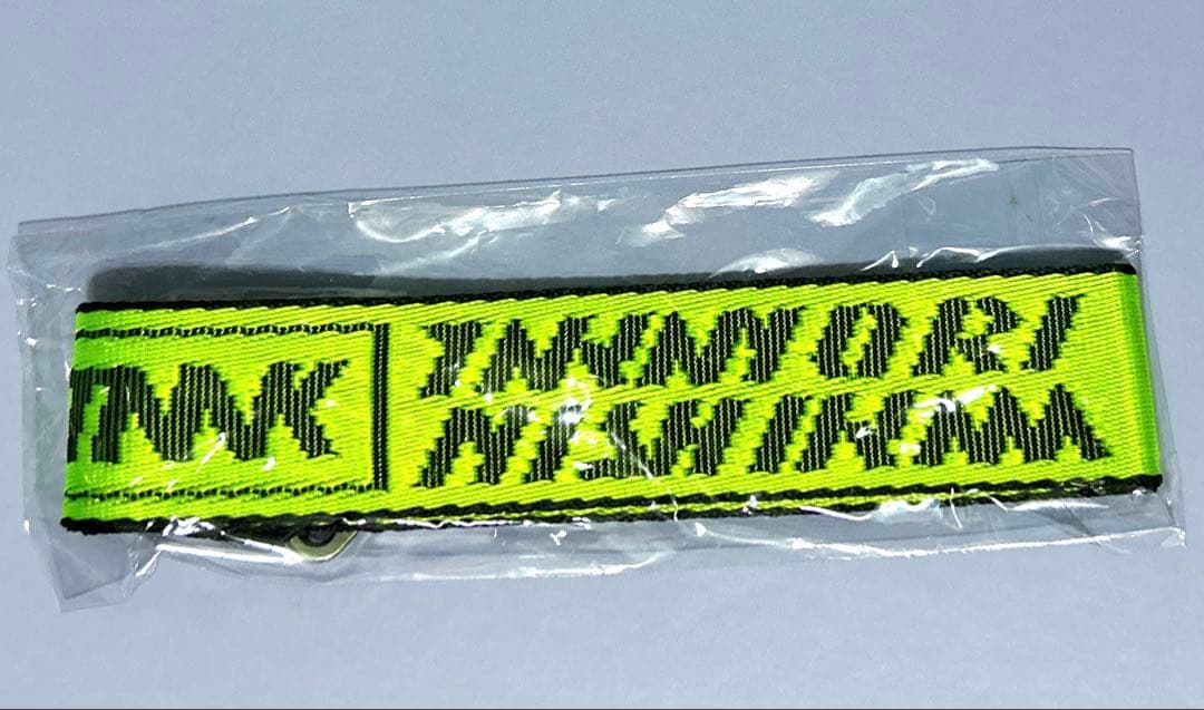 TNNK 西川貴教　イナズマロックフェス2017 グッズ　キーホルダー　カラビナ