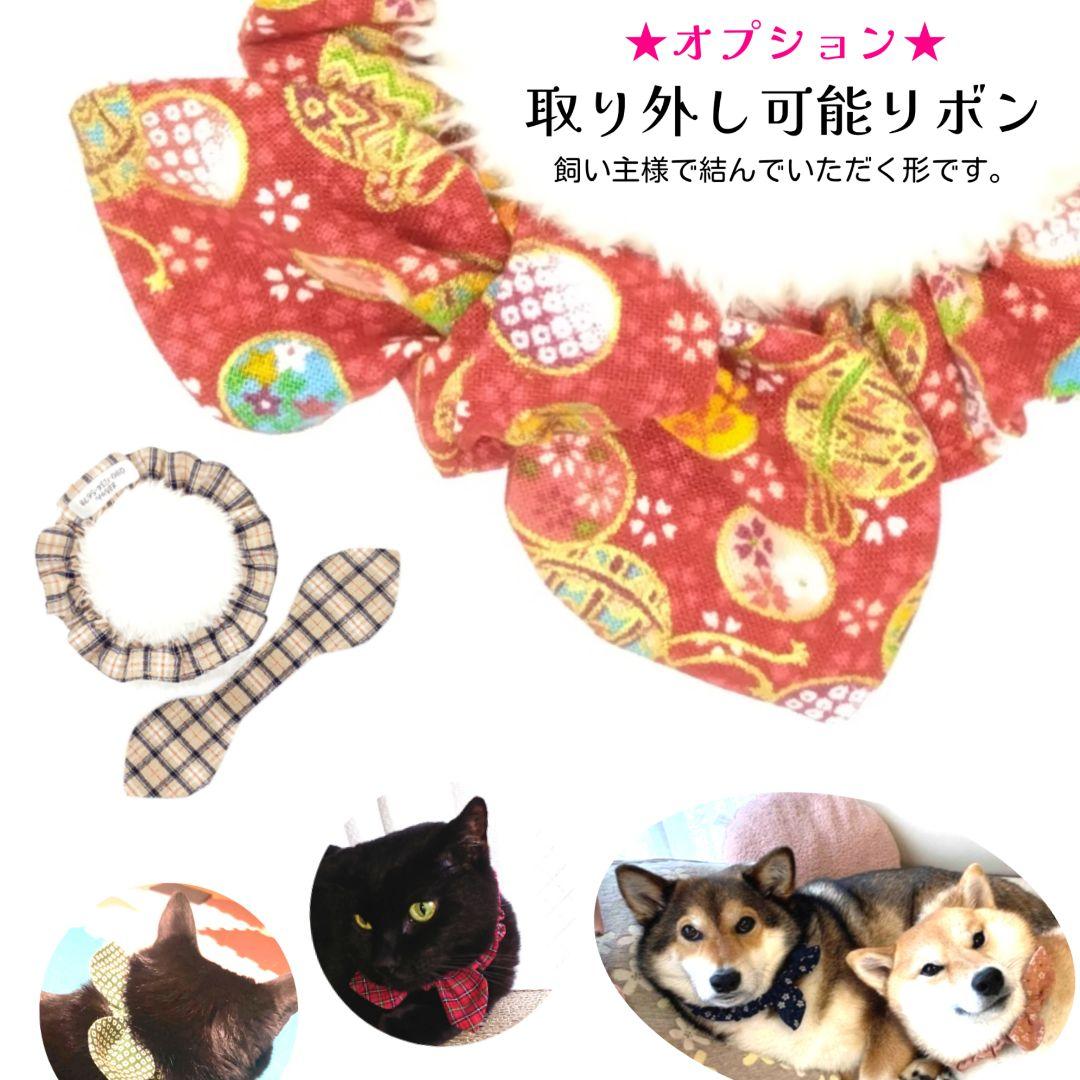 迷子のお守りshop 猫向け迷子札 | 迷子のお守りshop オプション