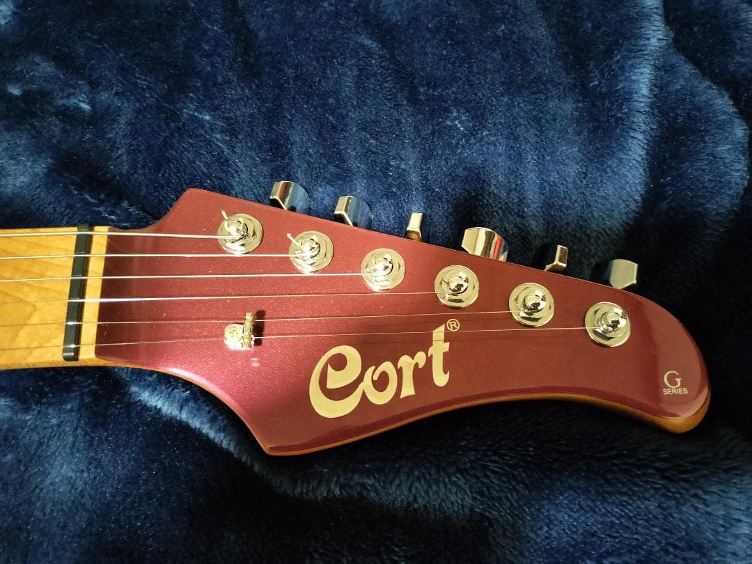 【イト】Cort G300 Pro