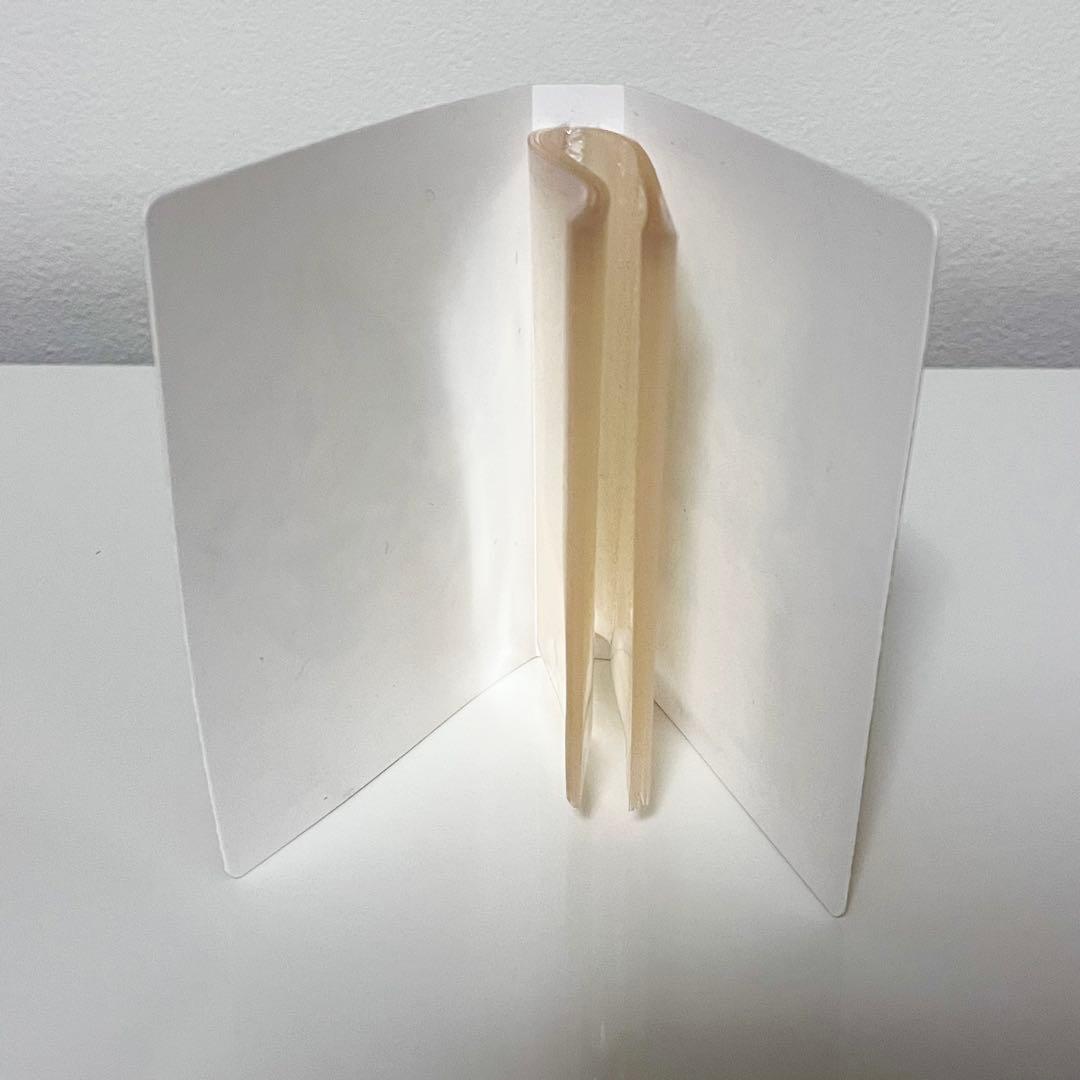 ポケモンセンター メガレックウザ ポンチョ ピカチュウ 名刺カード 当たり