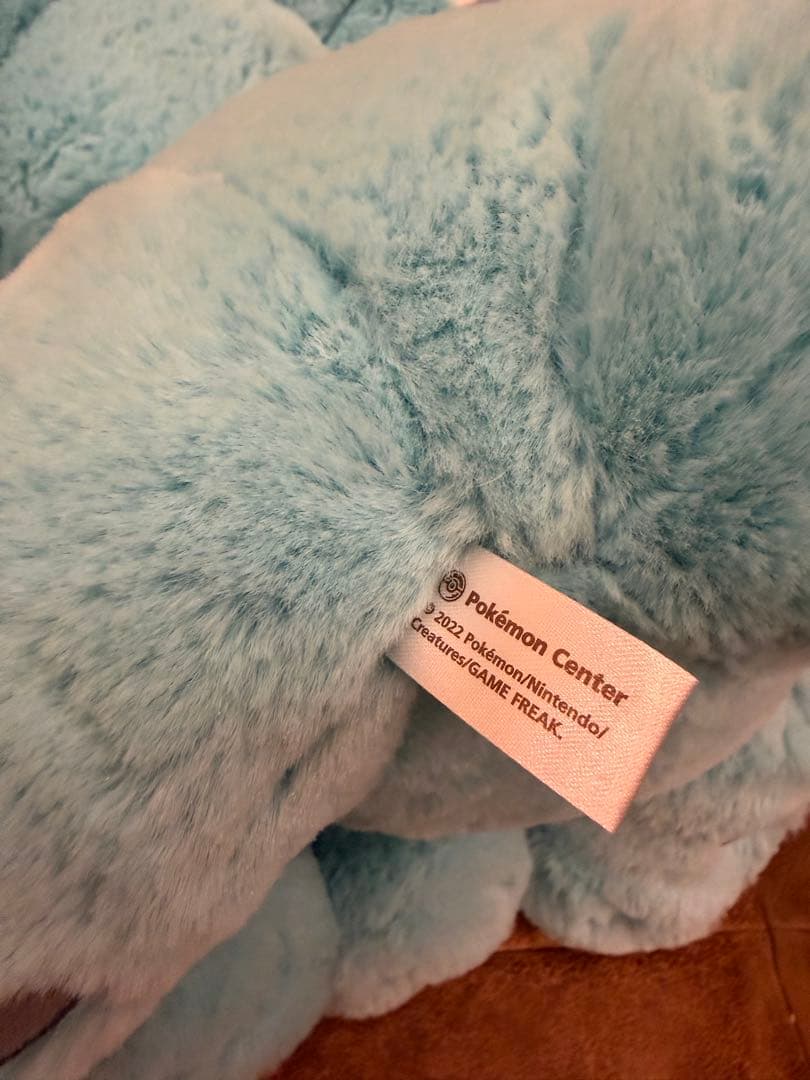 ポケモンセンターオリジナル ふわふわ抱きぬいぐるみ