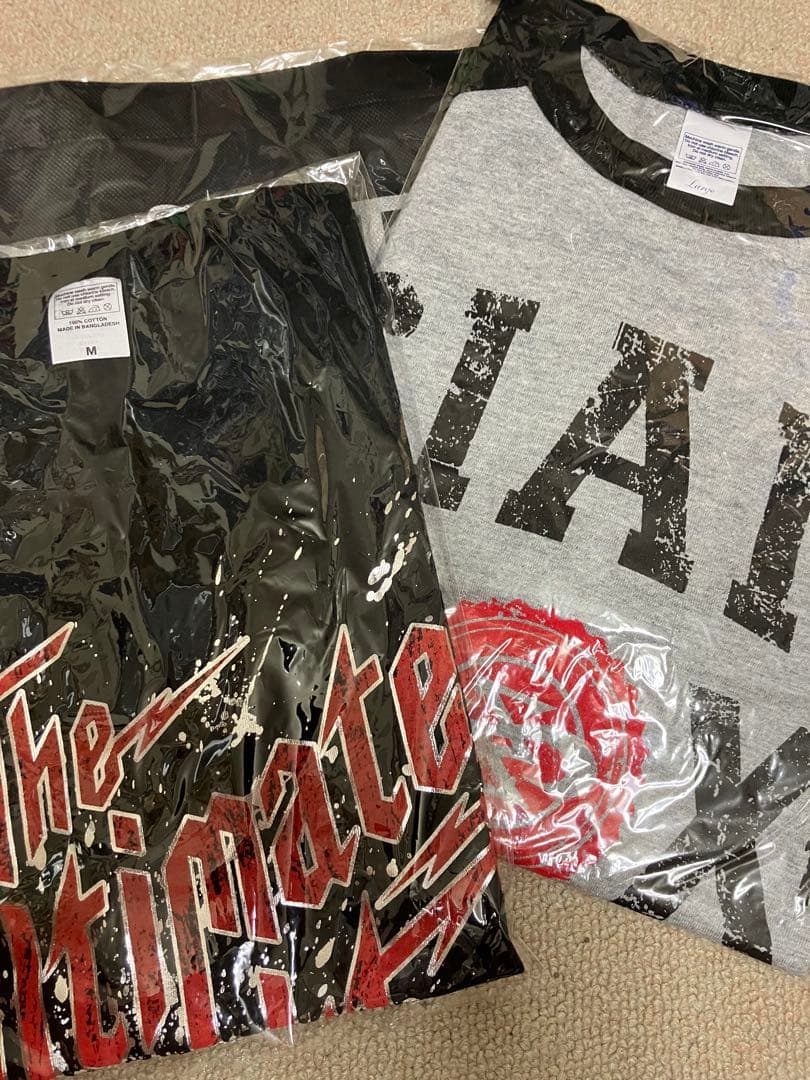 SIAM SHADE レアセット！Tシャツ2枚、バック 128ada07e32c1e4fa1954a39b5b939