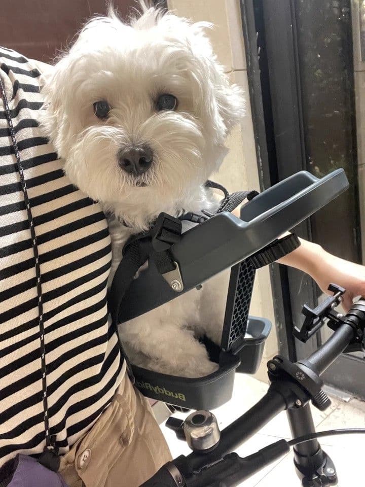 犬用自転車シート グレー Buddyrider 犬用キャリア グレー 取り付け