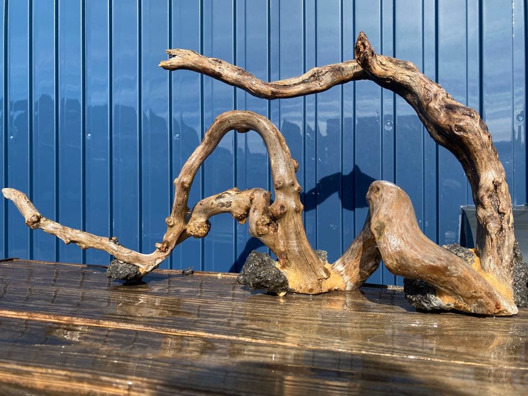 流木レイアウト A863 流木レイアウト A863 流木レイアウト A863 - メルカリ