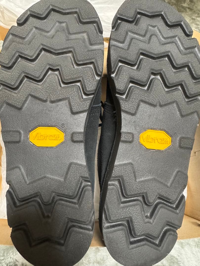 CLARKS デザートトレックGore-Tex