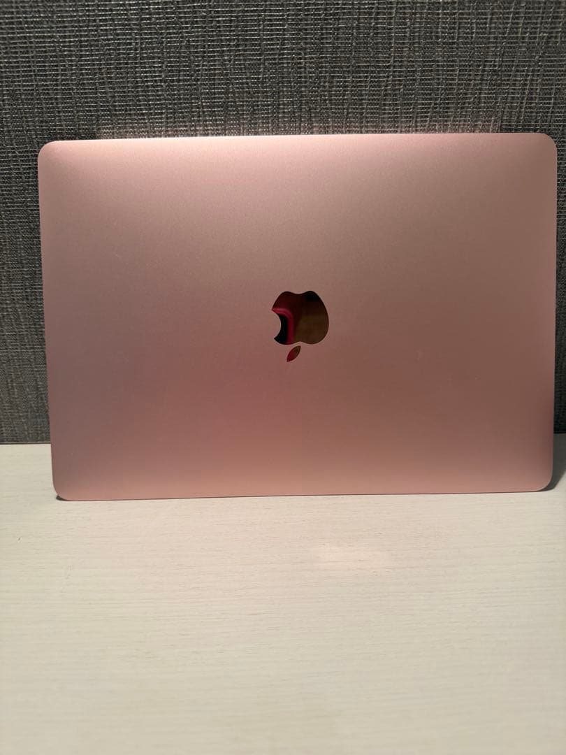 ジャンク】 MacBook 12インチ 2017 ローズゴールド モニター