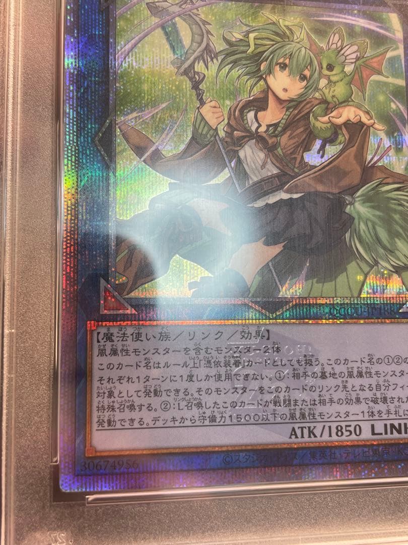 蒼翠の風霊使い ウィン 25th psa10 - メルカリ