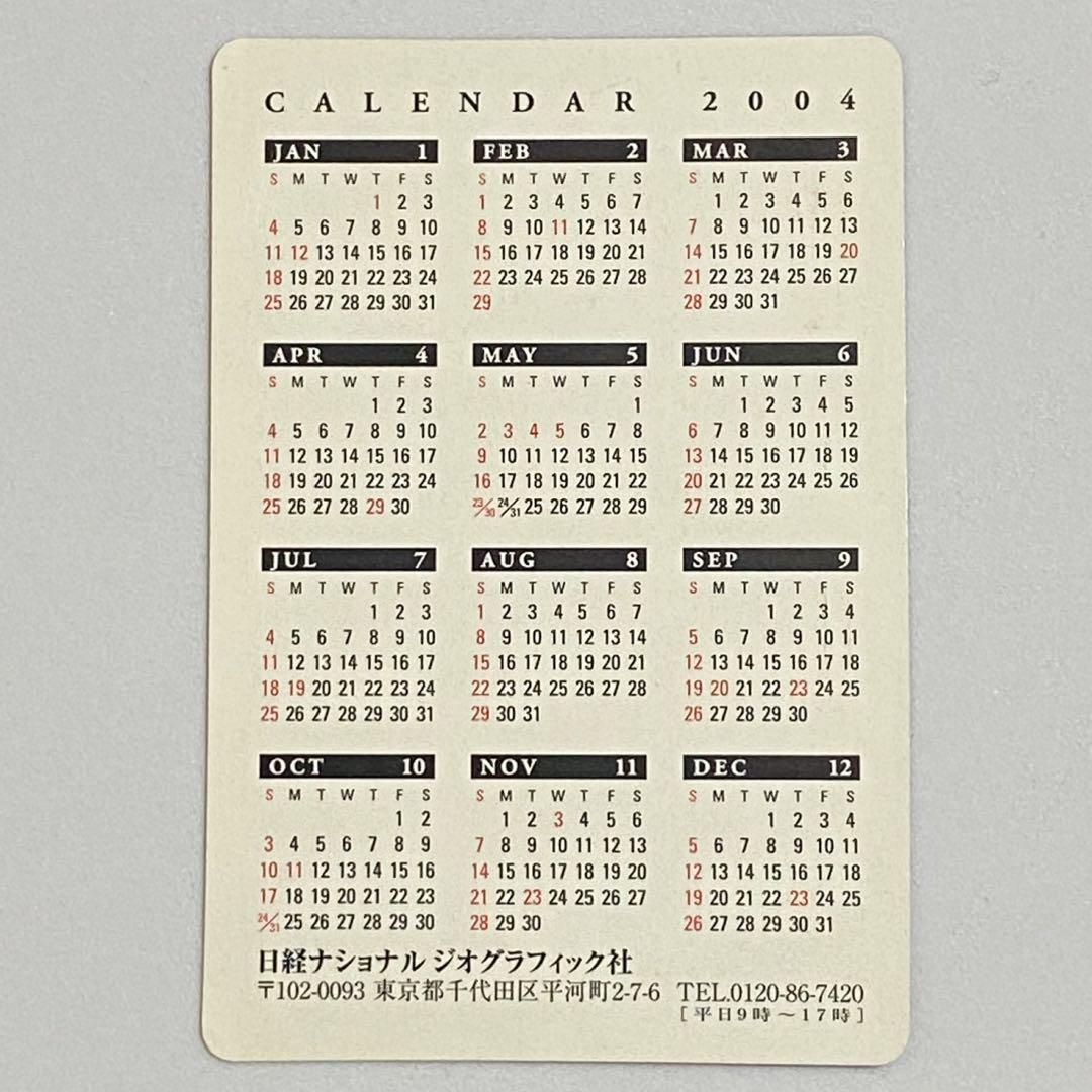 日経ナショナルジオグラフィック社　2004年　カレンダー　岩合光昭　親子のきずな