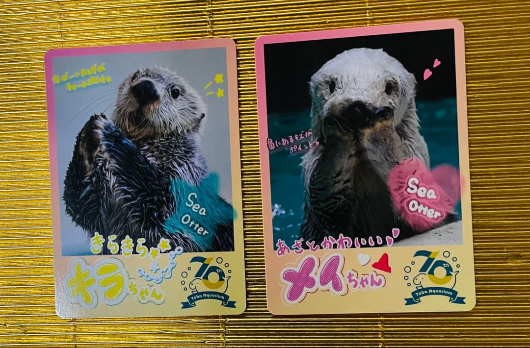 鳥羽水族館⭐️70周年コレクションカード⭐️ラッコ⭐️メイ キラ