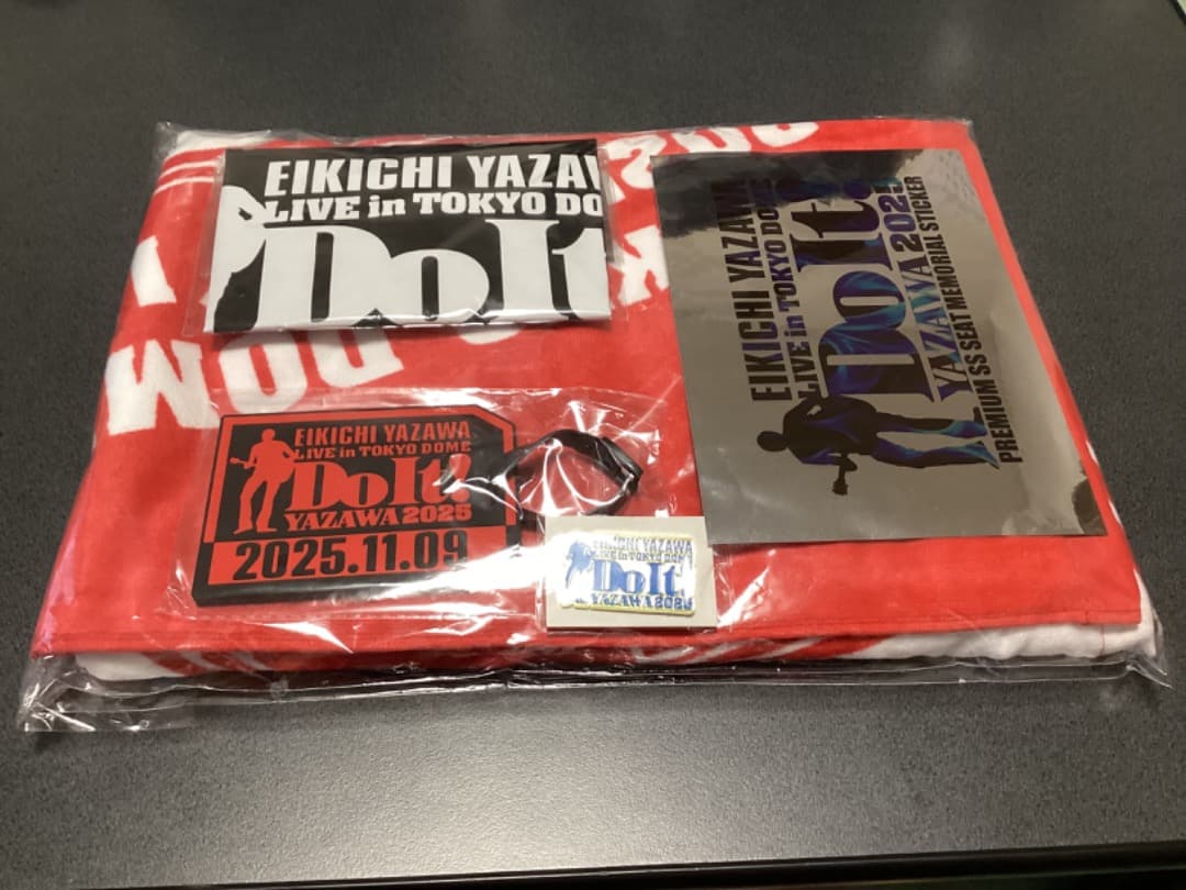 GARNiDELiA トレカ まとめ売り 8枚