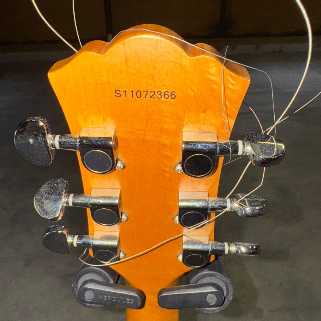 Washburn エレキギター ブラック