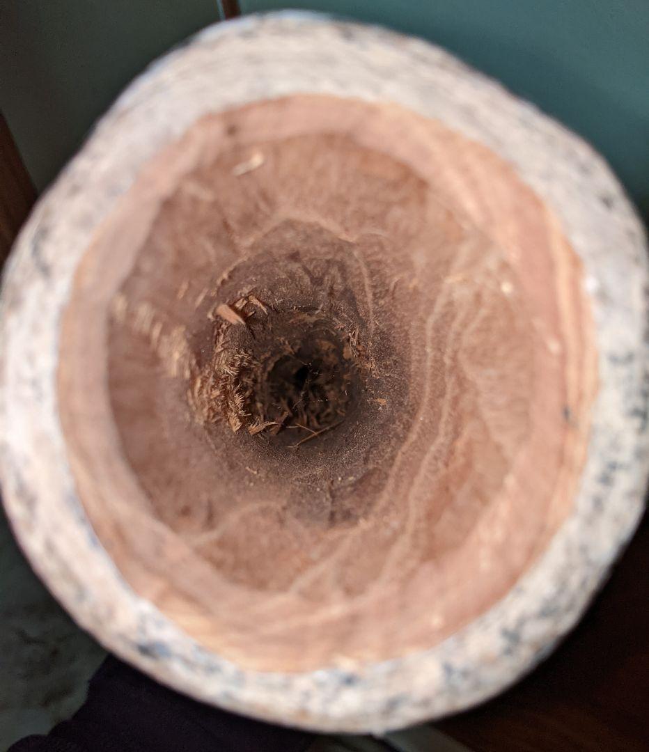 ディジュリドゥ オーストラリア大陸　先住民アボリジニの金管楽器　木製　民族楽器