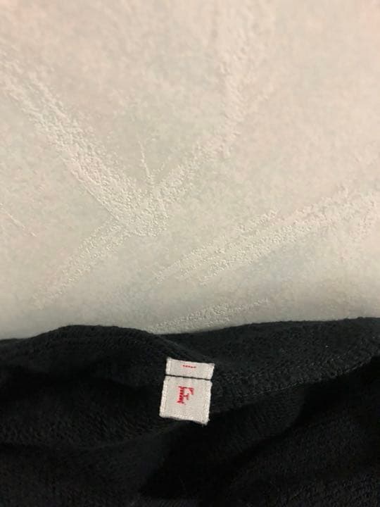 非売品 深田恭子 最後の果実 ノースリーブパーカー サイズF ポニーキャニオン