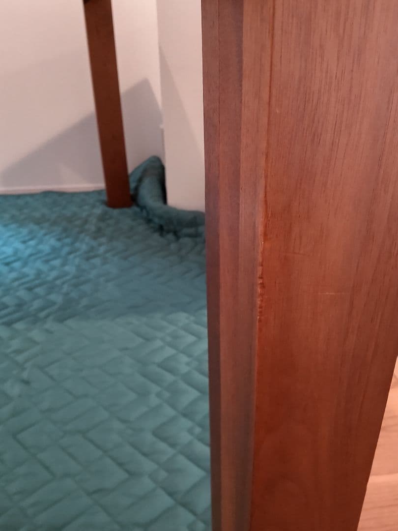 ゆきちゃん ACTUS REN 脚4本