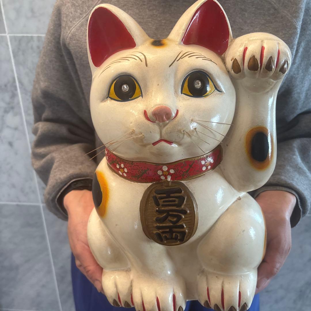 招福猫 miw - みゅう -【椿絵・子】｜有田焼なら賞美堂本店オンライン