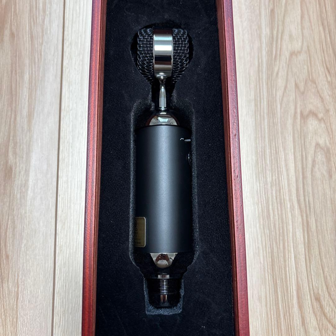 Blue spark sl マイク 専用ケース付き