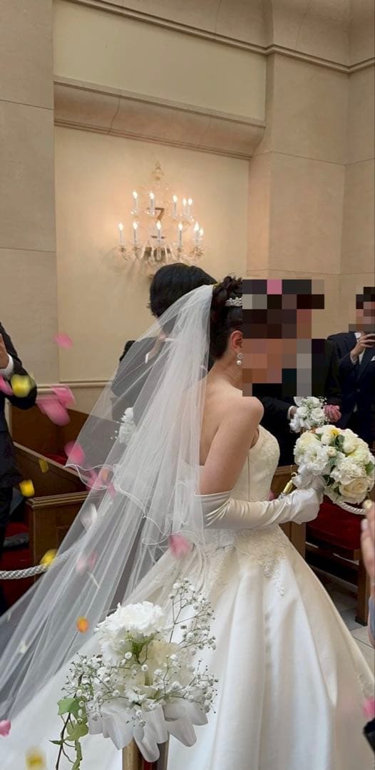 【美品】ANV-9 ALPHA BLANCA ラメベール ロング