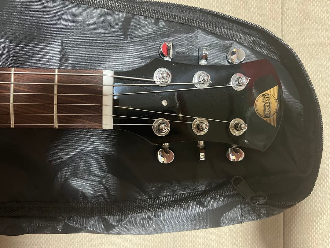 pignose アンプ内蔵ギター フライングv