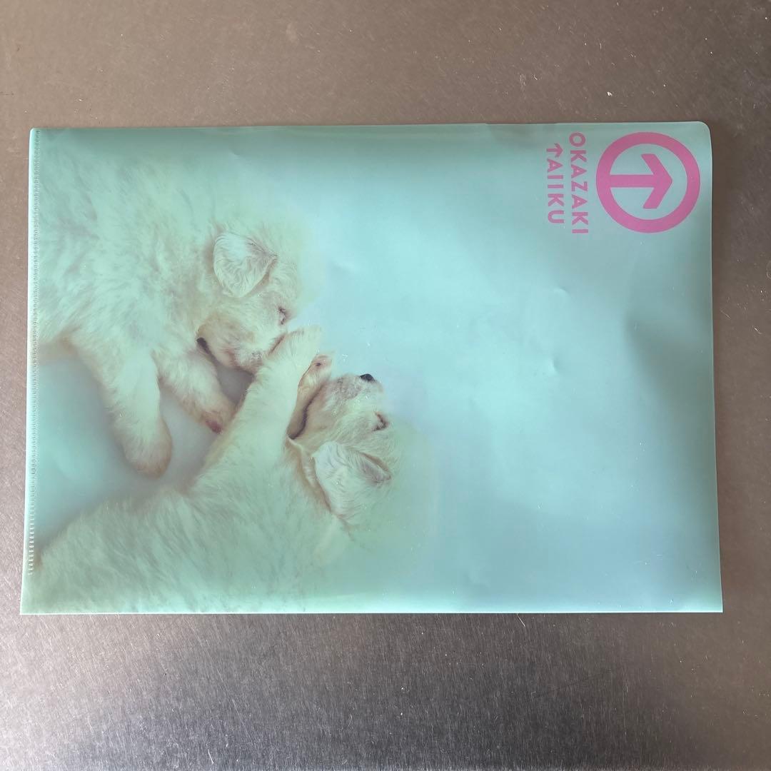 岡崎体育グッズセット バラ売り不可