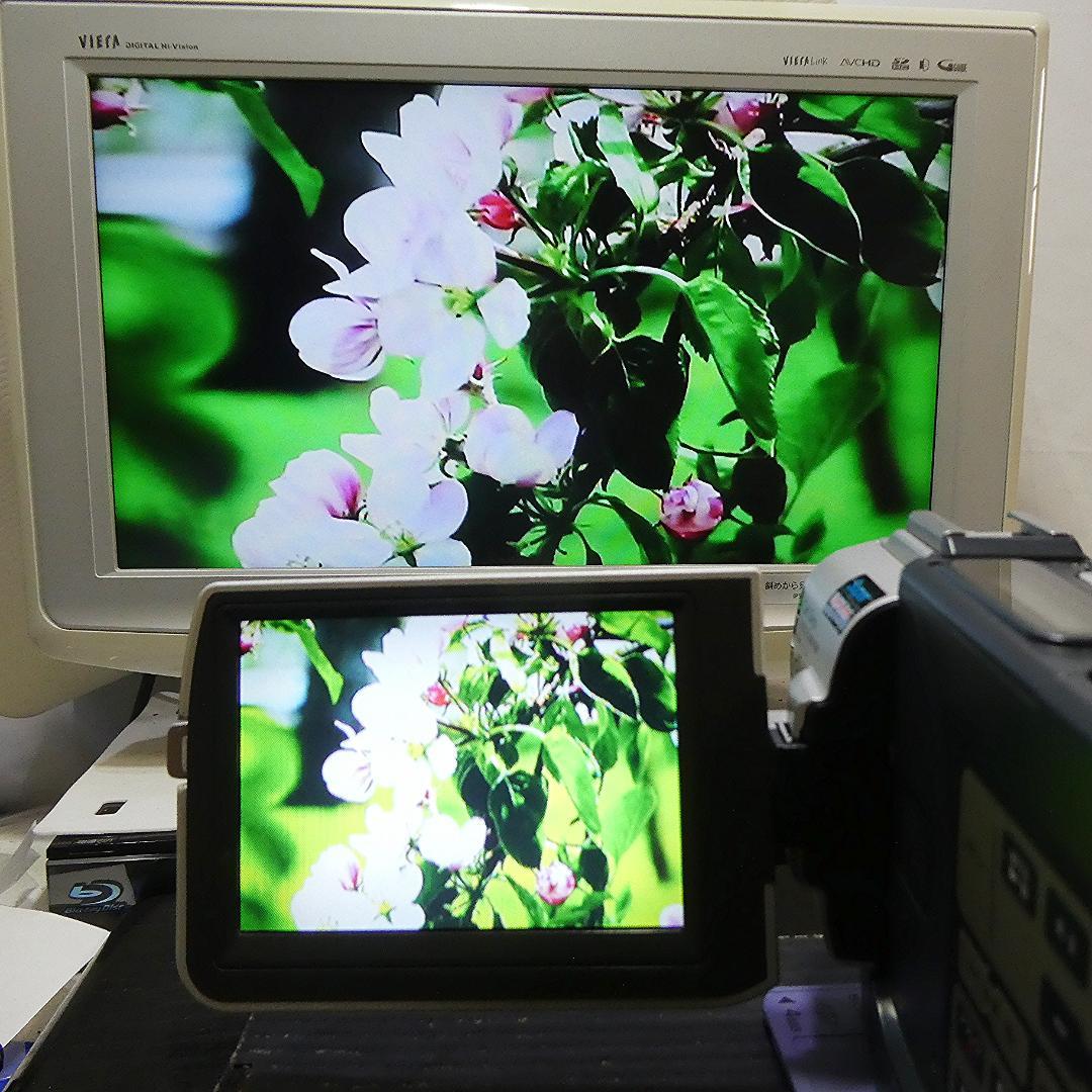 動作品ソニー DCR-TRV17 MiniDVビデオカメラ　DVDダビングに最適