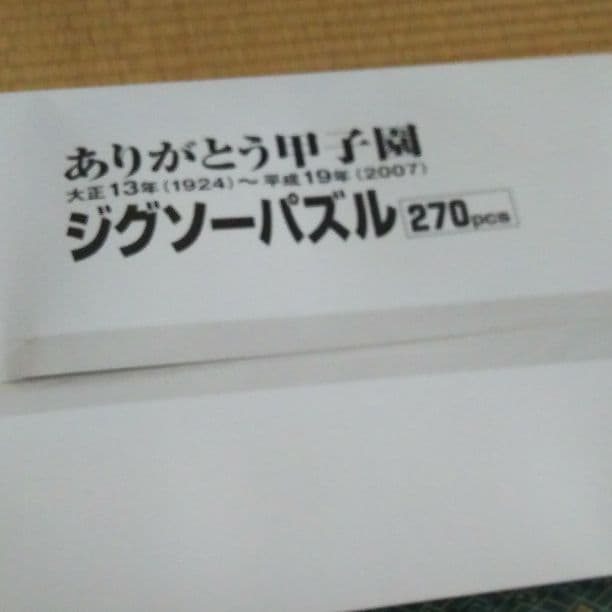 激レア】ありがとう甲子園 ジグソーパズル 270