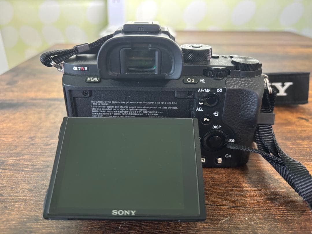 H*E様 【美品セット】α7RII FEレンズ バッテリー2個 充電器2