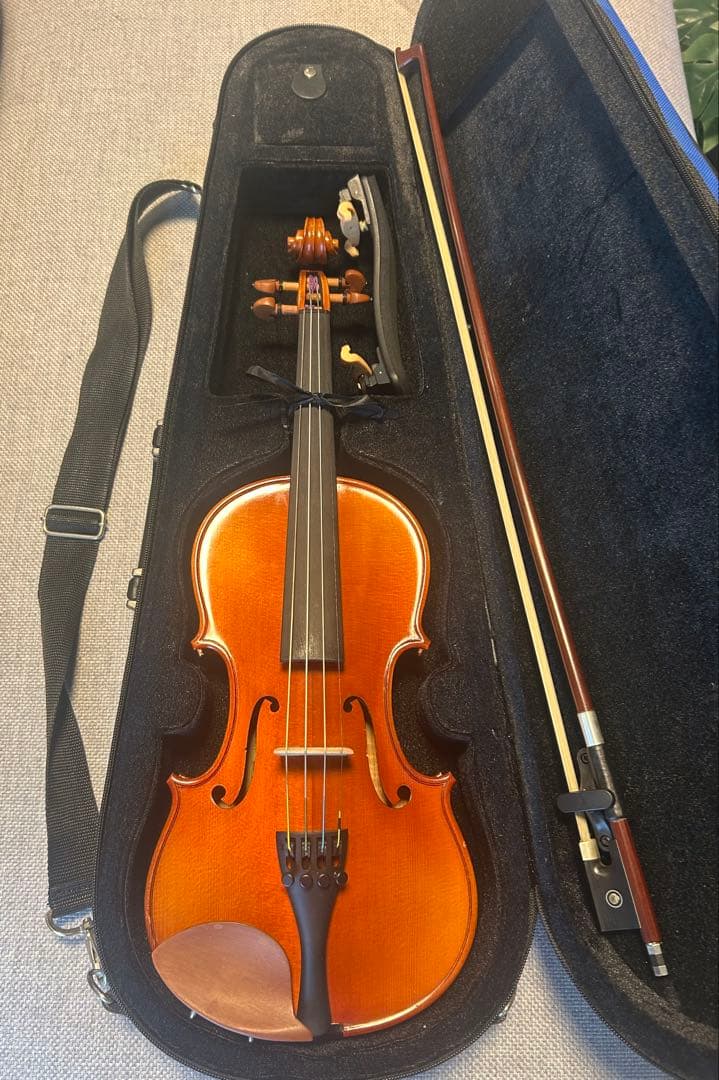 カルロ・ジョルダーノ バイオリン VS-2 1/2 2019年