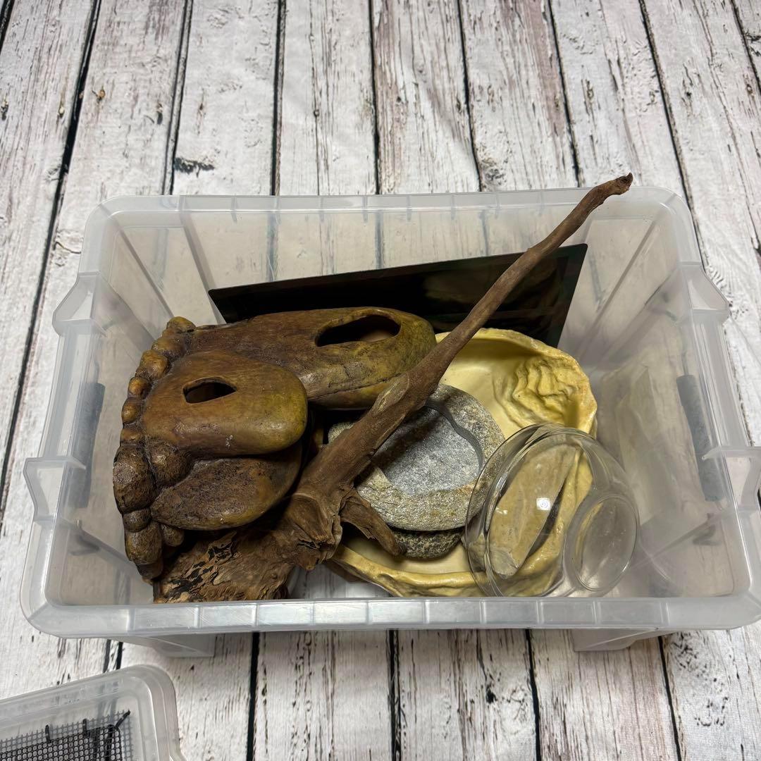 超お買い得セット 匿名配送 送料無料 飼育用品セット 餌皿 エキゾテラ