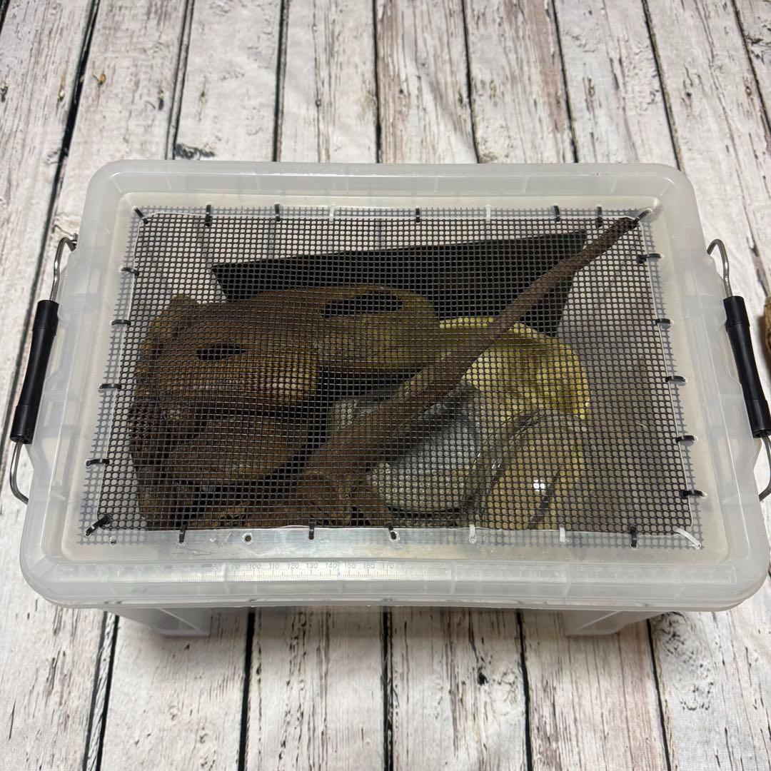 超お買い得セット 匿名配送 送料無料 飼育用品セット 餌皿 エキゾテラ