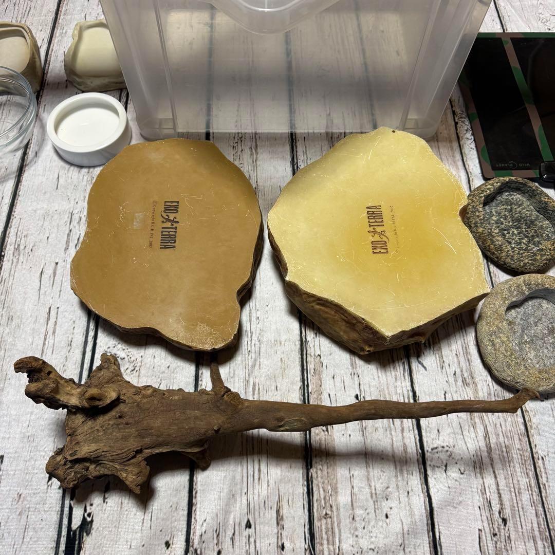 超お買い得セット 匿名配送 送料無料 飼育用品セット 餌皿 エキゾテラ