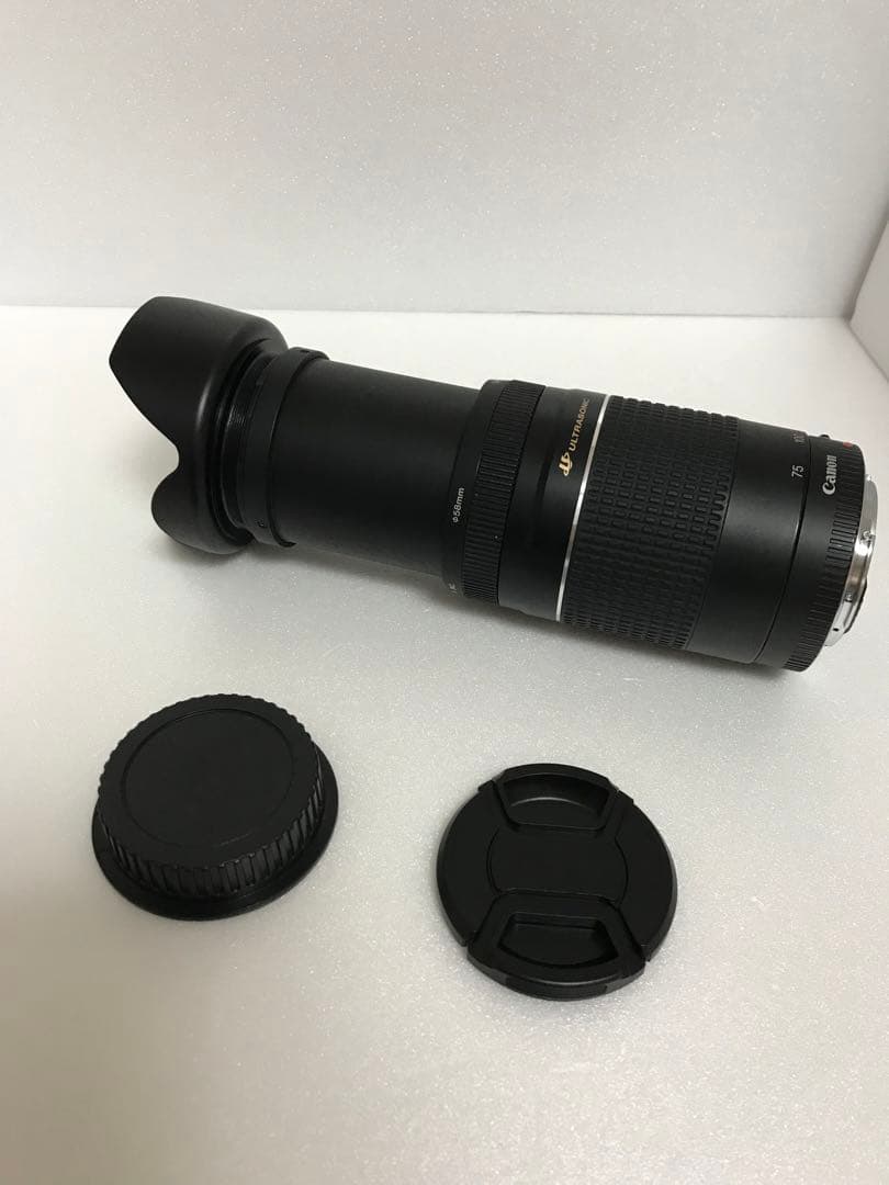 望遠レンズ/キャノン/イベント/スポーツ/Canon EF75-300㎜
