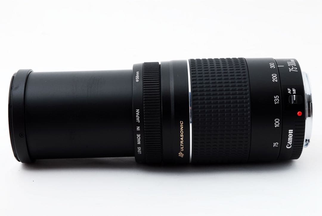 望遠レンズ/キャノン/イベント/スポーツ/Canon EF75-300㎜